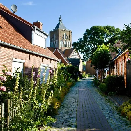 Pilsumer Sternekieker Krummhoern